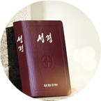 ���� ���� �ž�Ư��